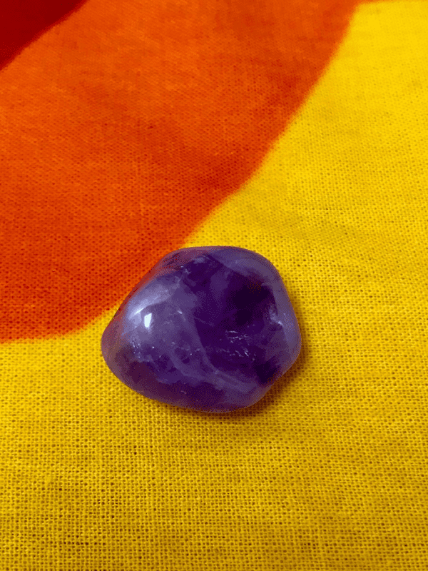 Lots of Lavender - Image 11